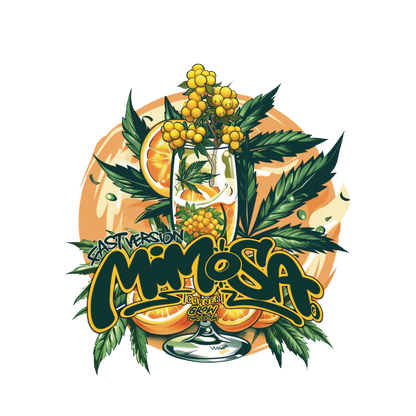 Mimosa 47 Fast Version