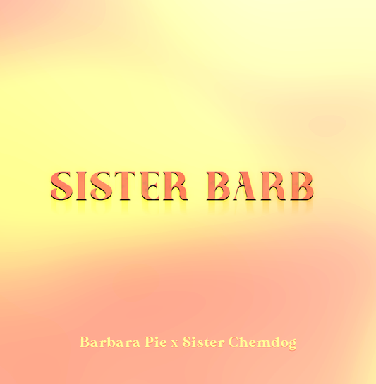 Sister Barb féminisée X10
