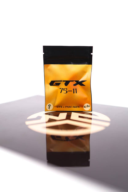 🥞 GTX 75-11 féminisée