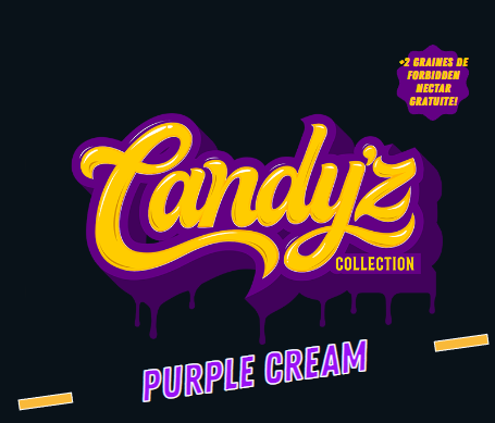 graines de collection zmoothiez purple cream logo