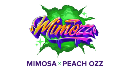 graines de collection Perfect Tree variété MIMOZZ logo