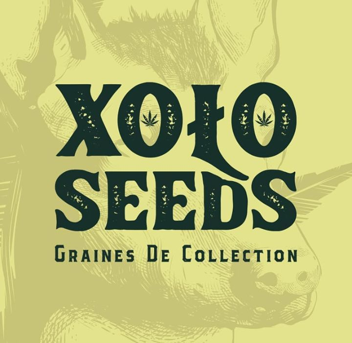 graines de collection xolo seeds logo