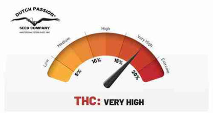 THC-Very-high-clean-image