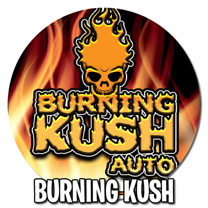 Burning Kush automatique