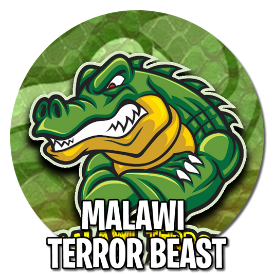 Malawi Terror Beast automatique